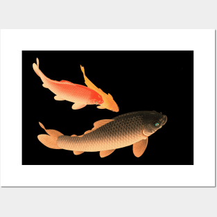 KOI Posters and Art